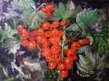 Red currants