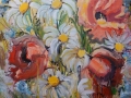 Daisies and poppies